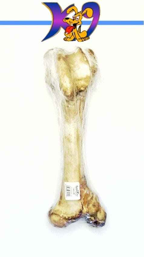 Premium Raw Femur Bones - Huge