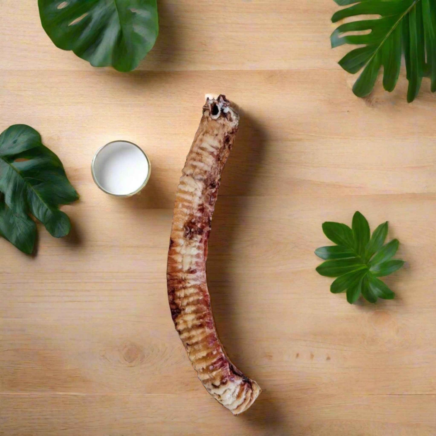 BEEF TRACHEA - AIR-DRIED