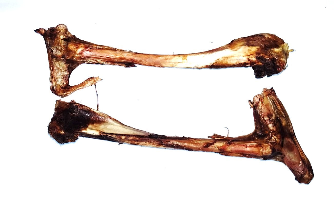 Dehydrated Tibia Bones (Springbok)