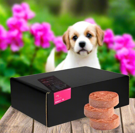 Birdy Pure Chicken - All variants