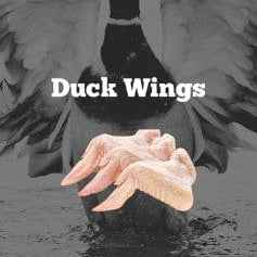 Duck Wings - 1Kg