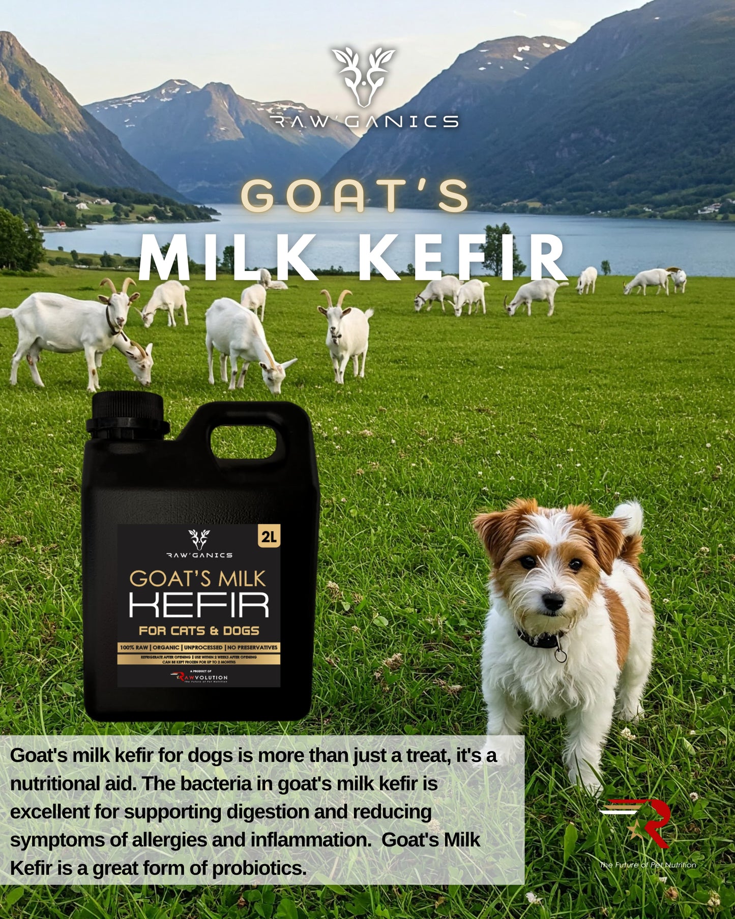 Goat's milk kefir - 2 Liter (Out of stock with supplier due to shortage)