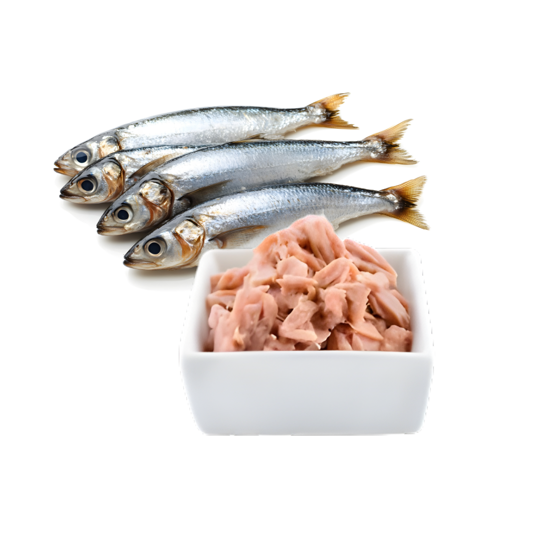 Pin Oaks – Minced Sardines 500g
