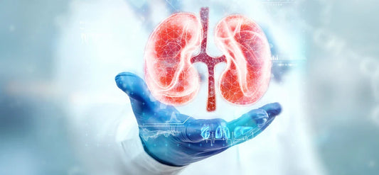 The Silent Threat: Understanding Kidney Disease in Pets