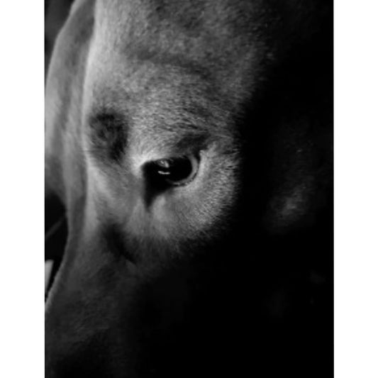 10 Reasons to Switch to Bracc Services