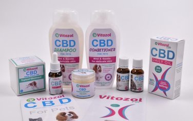 All things CBD - Bracc Services