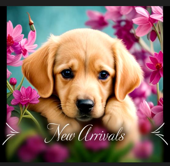New arrivals