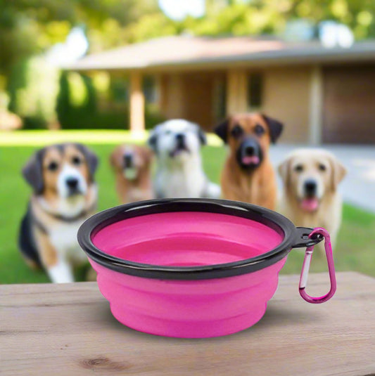 Collapsible Water Bowl