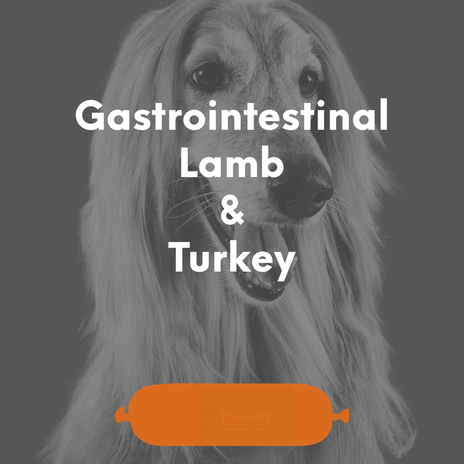 Gastrointestinal Lamb & Turkey - 500g