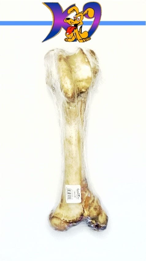 Femur bones