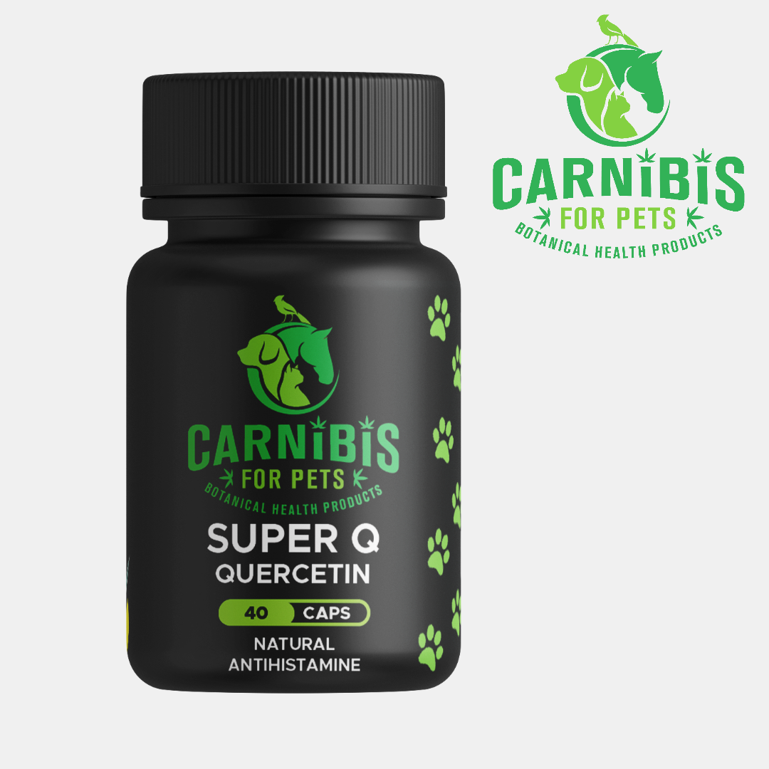 Super Q – Quercertin for Pets