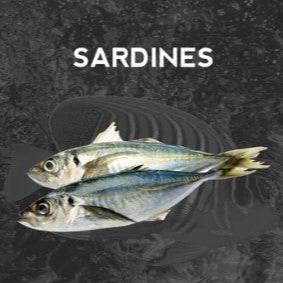 Sardines p 500g