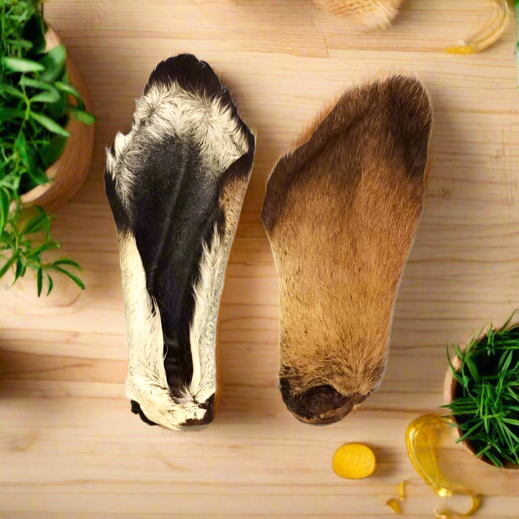 Dehydrated Venison Ears