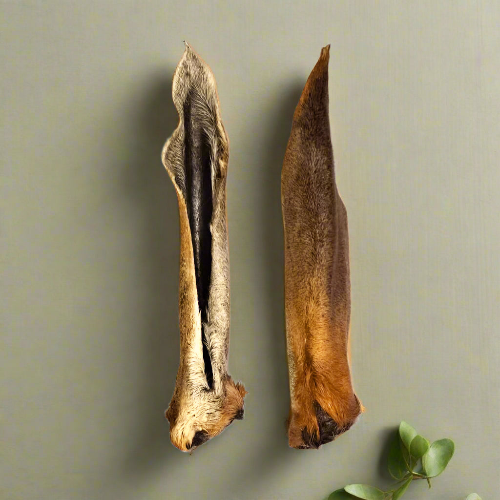 Dehydrated Venison Ears