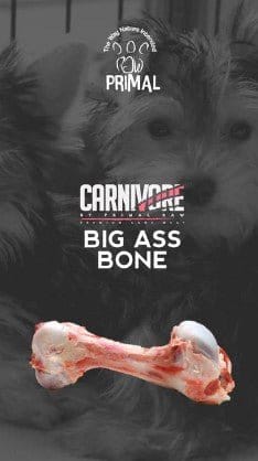 Big Ass Femur Bone