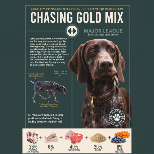 Chasing Gold Mix - Square Canvas