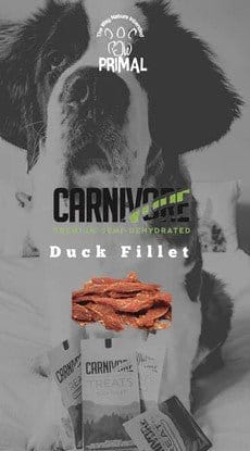 Duck Fillet Treats 50g