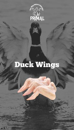 Duck Wings - 1Kg