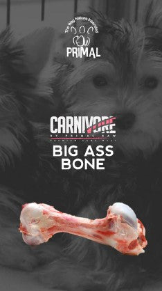 Big Ass Femur Bone