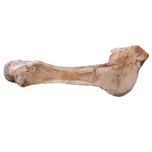 FurryFeet Pet | Full Femur Bone - each
