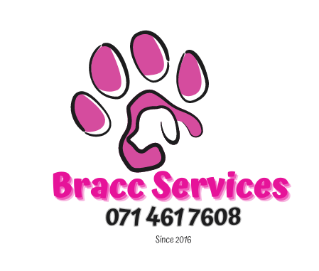 Bracc Services