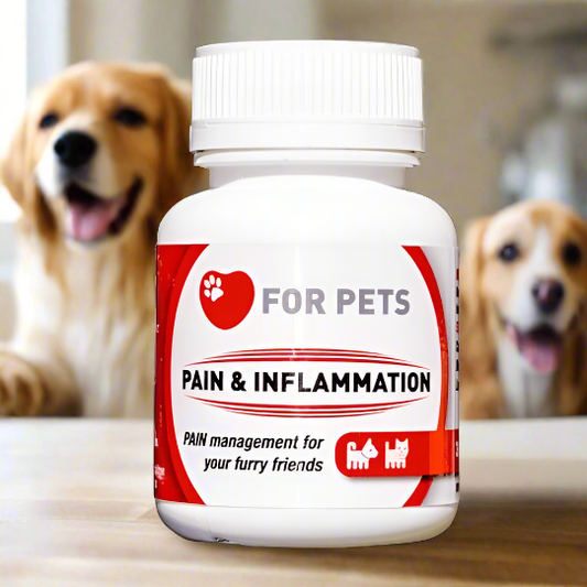 Pain and Inflammation 30 capsules - for dogs and cats