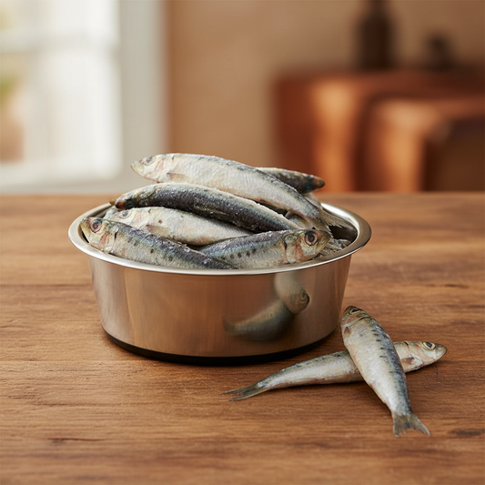 Pilchards in Dog Bowl