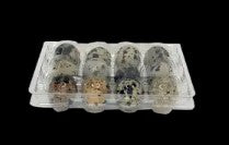 Quail Eggs (12 Eggs)