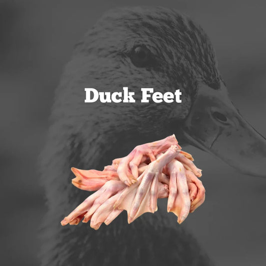 Raw Frozen Duck feet p 500g