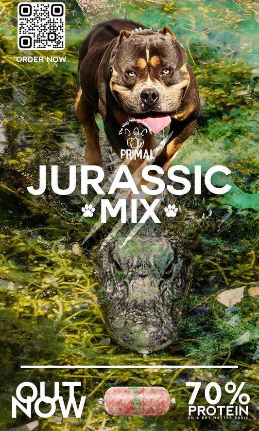Jurassic Mix - 1kg (No Beef or Chicken)
