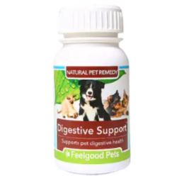 Digestive Support (60 Vegan capsules)