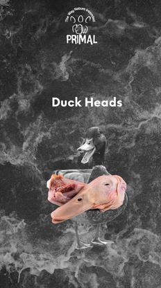 Duck Heads (2 pack)