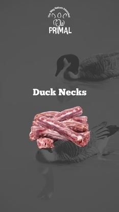 Duck Necks- 500g